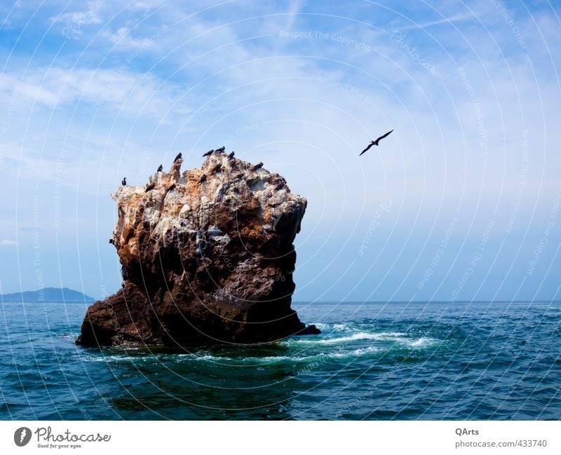 Vogelinsel Ferien & Urlaub & Reisen Tourismus Abenteuer Ferne Freiheit Expedition Meer Insel Wellen Wassersport Segeln tauchen Natur Urelemente Luft Himmel