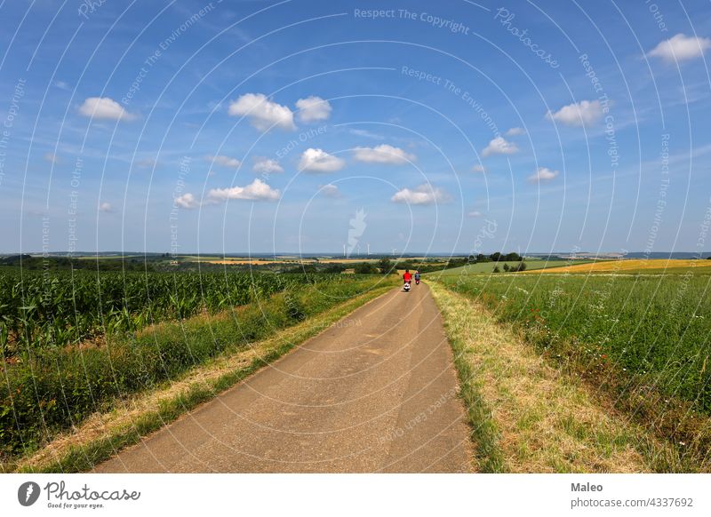 Sommerlandschaft mit Feldern und Wiesen an einem klaren Tag Landschaft grün Himmel Gras Cloud übersichtlich Natur blau ländlich Sonne Hügel Frühling Horizont