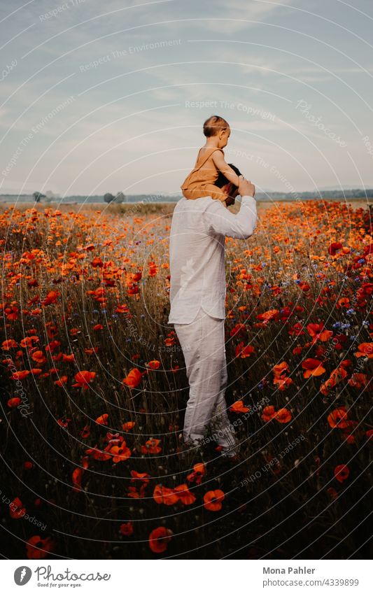 Kind sitzt auf den Schultern des Papas. Gemeinsam laufen Sie durch ein hohes Mohnblumenfeld. Vater Sohn Vaterschaft Vater mit Kind Vaterschaftsurlaub