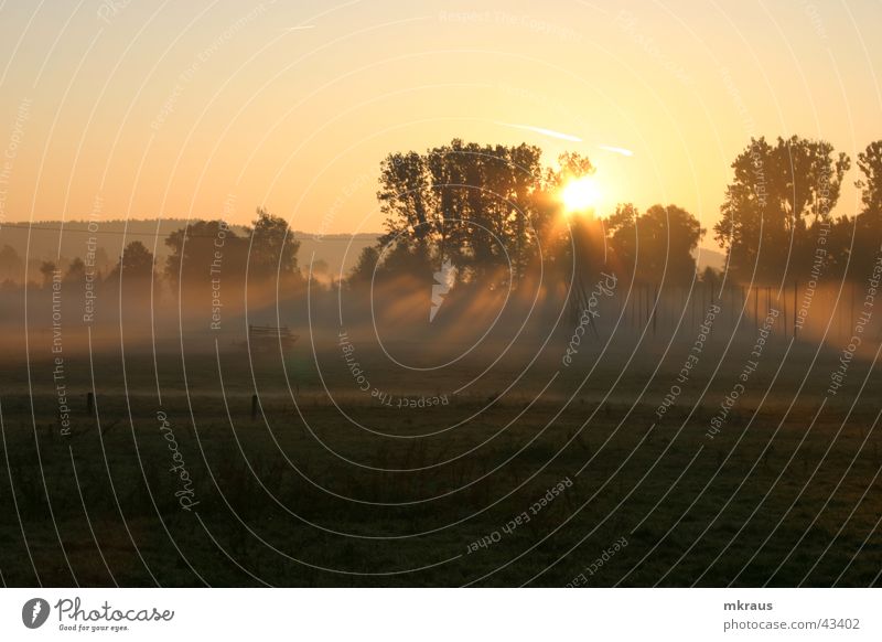 Avalon Nebel Morgen Sonnenaufgang Landschaft im Nebel Herbstlicht gold