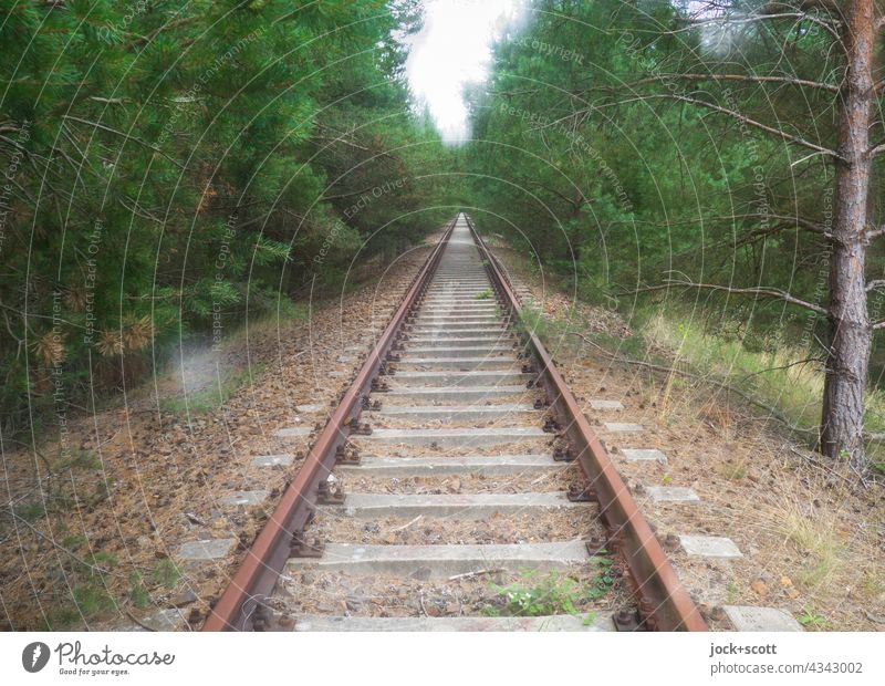 auf rostigen Schienen durch dicht bewachsenen Wald Gleise lost places Verkehrswege Doppelbelichtung Zahn der Zeit Verfall Endzeitstimmung Symmetrie Nadelbaum