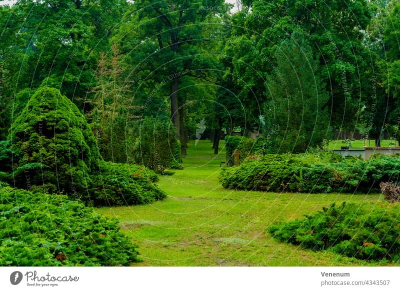 Bäume, Wiesen und Heckenpflanzen auf einem öffentlichen Friedhof Begräbnisstätte Kirchplatz Töpferfeld düstere Atmosphäre Friedhöfe Besuch des Friedhofs