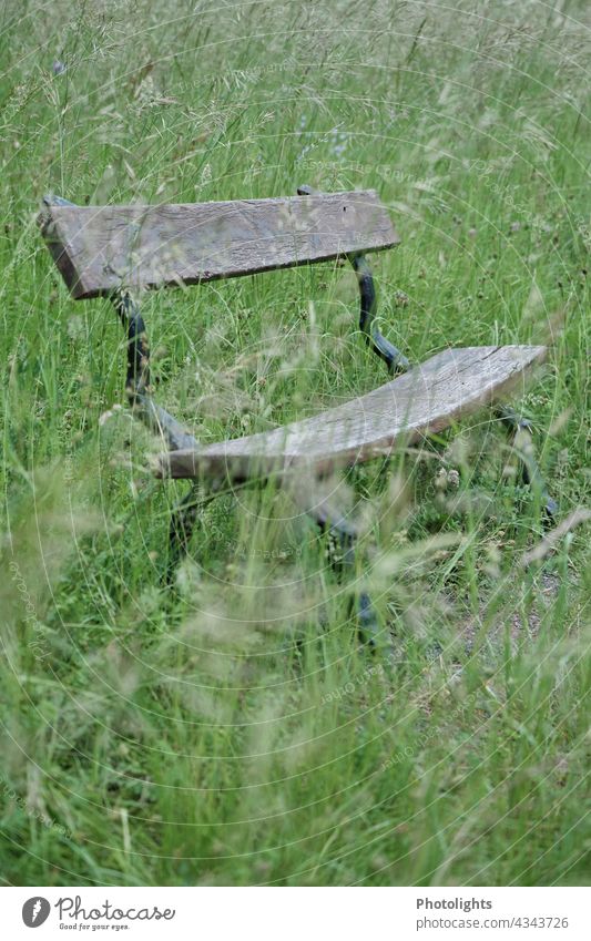 Alte Bank steht auf einer Wiese mit hohen Gräsern Sitzbank Holzbank grün braun schwarz weiß Pollen Rasen Farbfoto Außenaufnahme Natur Gras Menschenleer Parkbank