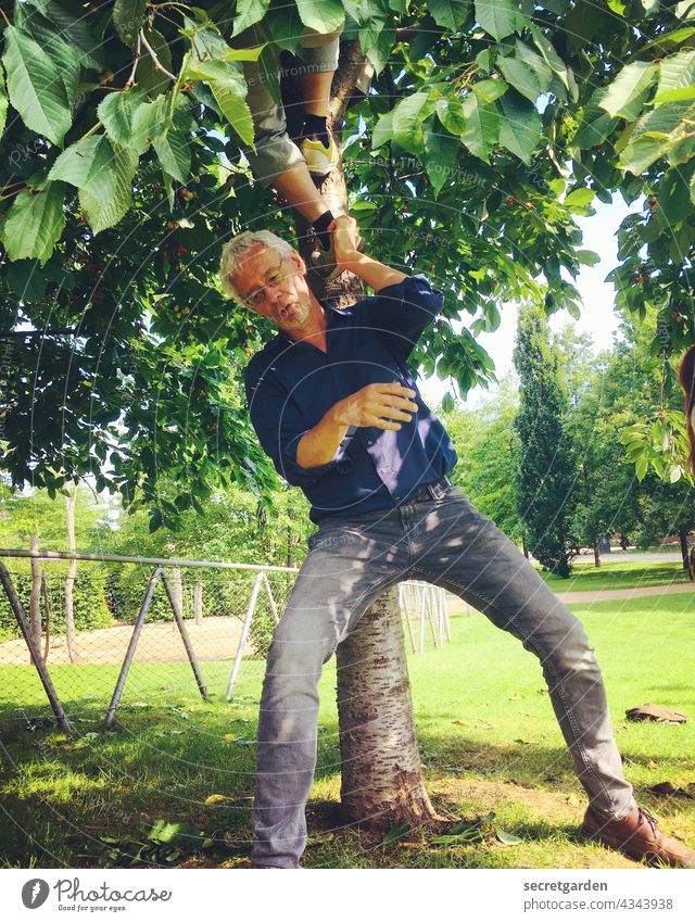 [PARKTOUR HH 2021] Mit denen ist gut Kirschen essen Kirschbaum Garten Räuberleiter Spass Dieb Sommer Kraft Mann grün breitbeinig Ernte Natur Jeans Baum