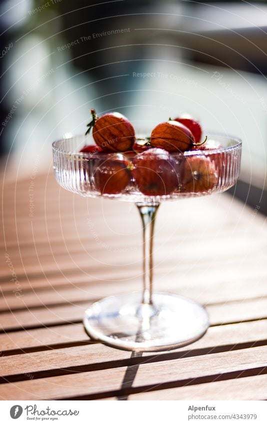 kleine Erfrischung Stachelbeeren Cocktail Cocktailglas Glas Farbfoto Lifestyle trinken Essen Früchte Beeren Gesundheit Frucht Vitamin süß sauer Lebensmittel