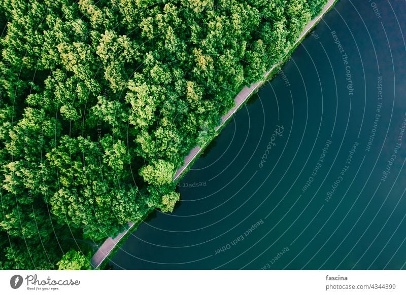 Grüner Wald und Wasser Luftaufnahme von oben, Kopierraum Oberfläche Antenne Textur diagonal Textfreiraum copyspace Raum See türkis Park Bäume grün laubabwerfend