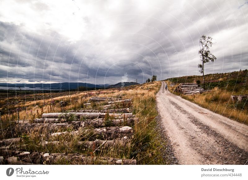 Der Weg ist das Ziel Ferien & Urlaub & Reisen Abenteuer Ferne wandern Natur Landschaft Wolken Sommer Herbst Pflanze Gras Hügel Wege & Pfade blau braun gelb grün