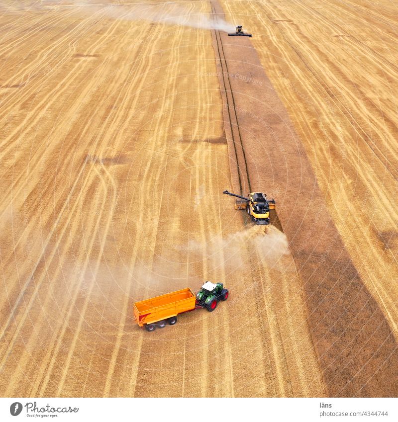 Ernteeinsatz Getreide Landwirtschaft ländlich reif feld Mähdrescher Trecker Getreidefeld Feld Sommer Nutzpflanze Landschaft Kornfeld Farbfoto Ernährung Ackerbau