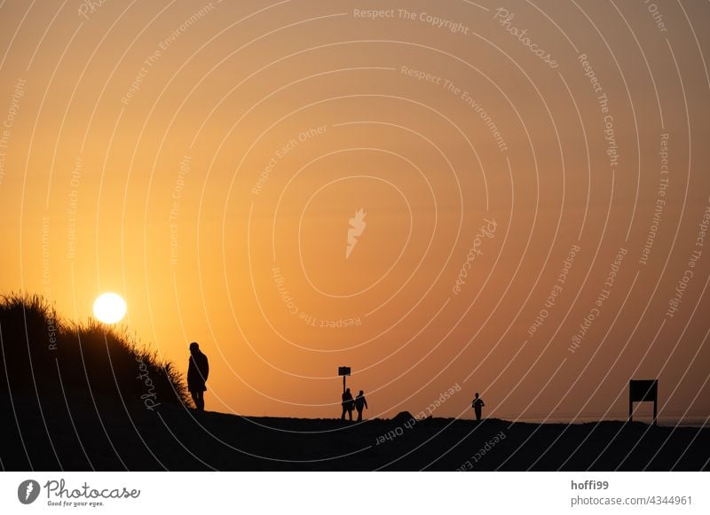 abends bei Sonnenuntergang am Strand Sonnenaufgang Sonnenlicht Küste Strandleben Glück einfach maritim ästhetisch weich Ferien & Urlaub & Reisen Dämmerung Abend