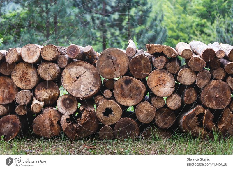 Holzstapel. Vor dem Transport gestapelte Kiefernstämme. Selektiver Fokus Brennholz braun Textur Baumstamm Hintergrund Forstwirtschaft Stapel Wald Industrie