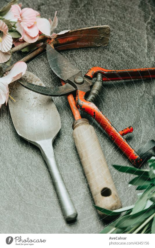 Schöne Gartenblumen und Gartengeräte auf shabby chic Hintergrund Pflanze Gartenarbeit Werkzeug Konzept vereinzelt sehr wenige Gerät hoch oben Hobby gelb