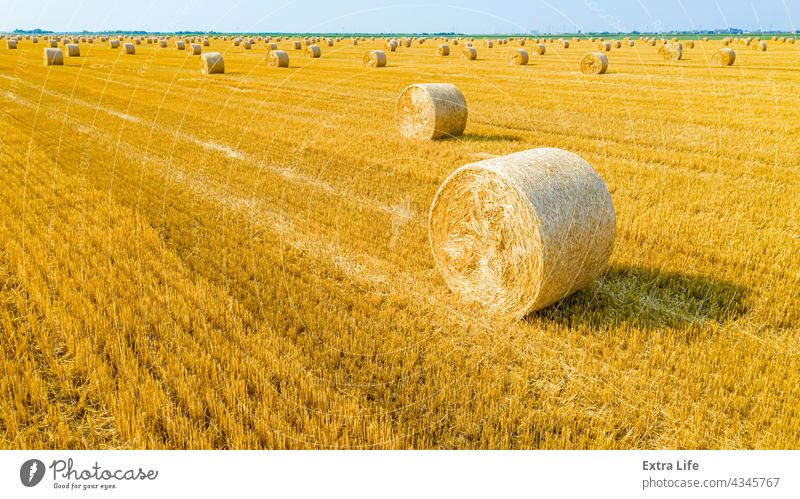 Luftaufnahme eines Feldes mit ausgekleideten Strohballen auf einem Acker oben quer Antenne landwirtschaftlich Ackerbau Ballen Müsli Land Ernte kultiviert