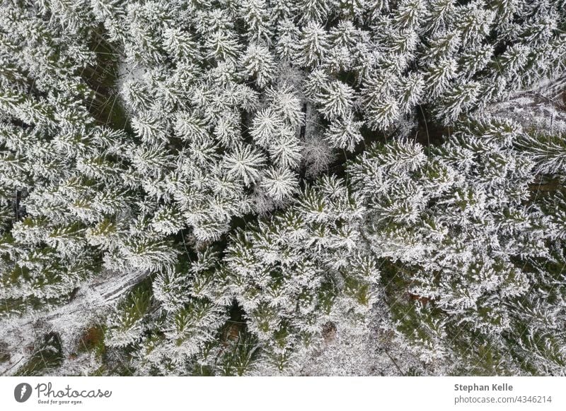 Winterwald als Top-Down-Aufnahme, gerade von oben der Blick auf die weißen Baumkronen, geteilt durch eine Landstraße in der diagonalen Mitte. Natur Wald