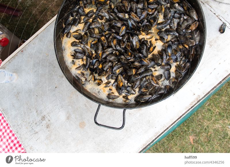 frische Muscheln warten auf Gäste bei einem Fest Miesmuschel muscheln Vorbereitung Stadtfest Feiern Marktplatz lecker Ernährung Lebensmittel Essen Mittagessen