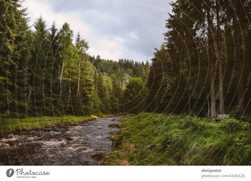 Wandern im Schwarzwassertal wandern Tal Wanderung Fluss Erzgebirge Sachsen Pobershau Katzenstein Idylle ruhen Bank Wald Natur Landschaft grün Sommer im Freien