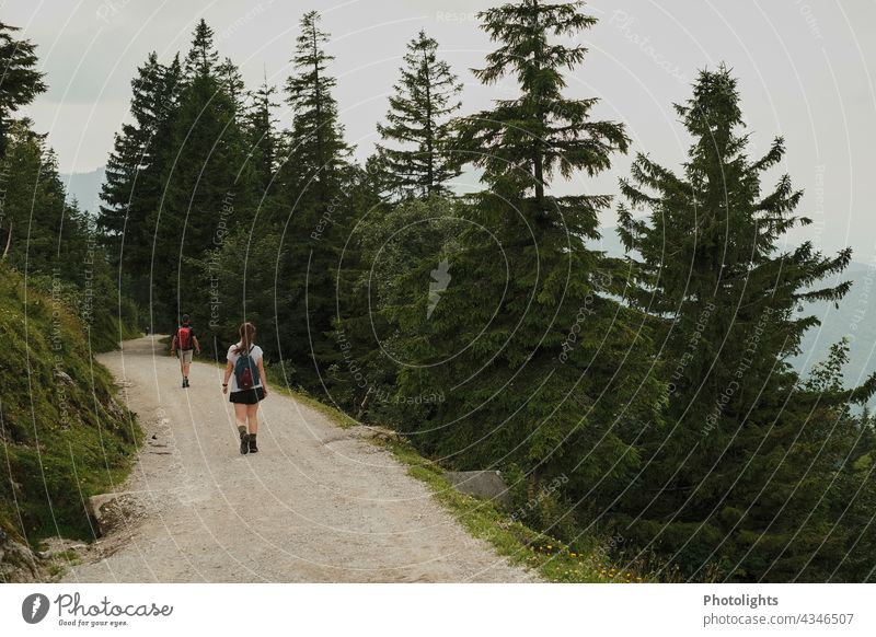 Zwei Wanderer auf einer Schotterstraße in den Bergen wandern Bergstraße Bergweg Weg Straße Landschaft Natur Wald Alpen Chiemgau Berge u. Gebirge Außenaufnahme