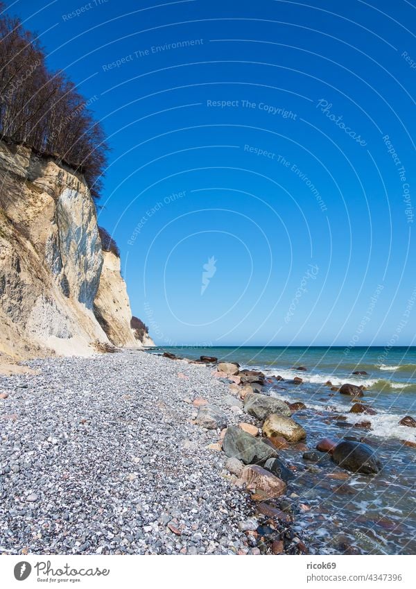 Kreidefelsen an der Küste der Ostsee auf der Insel Rügen Ostseeküste Meer Bäume Steilküste Findling Stein Felsen Himmel wolkenlos blau Mecklenburg-Vorpommern