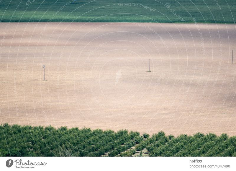 Blick ins Land - kahles Feld gerahmt von grünen Vegetationsstreifen Ackerbau Ackerlandschaft Ernte Sommer agrarindustrie Agrarwende Klimawandel umdenken