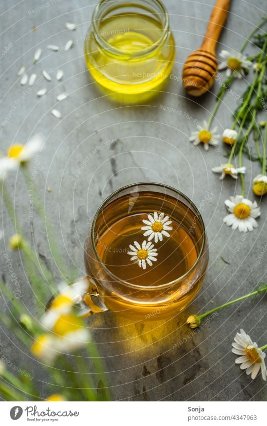 Kamillentee in einem Teeglas auf einem rustikalen Tisch kamillentee Kamillenblüten Pflanze Blüte Kräutertee Honig Heilpflanzen Alternativmedizin Gesundheit