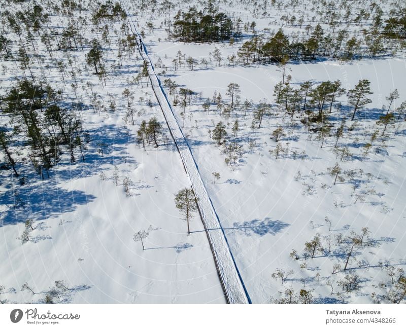 Luftaufnahme von Wintermoor und Wald Moor Schnee Sumpfgebiet Antenne wandern Estland Nachlauf kalt Natur Landschaft Baum im Freien Wetter verschneite Umwelt