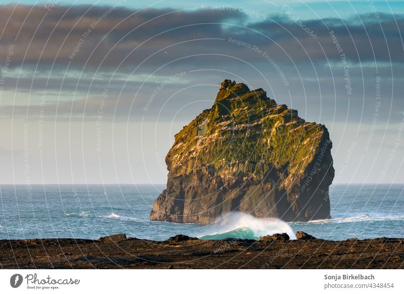 Fels im Meer auf Reykjanes, Island Halbinsel Vogelfelsen Küste Lava Gestein Welle isländisch Landschaft Himmel dramatisch stürmisch Urlaub Ferien Natur