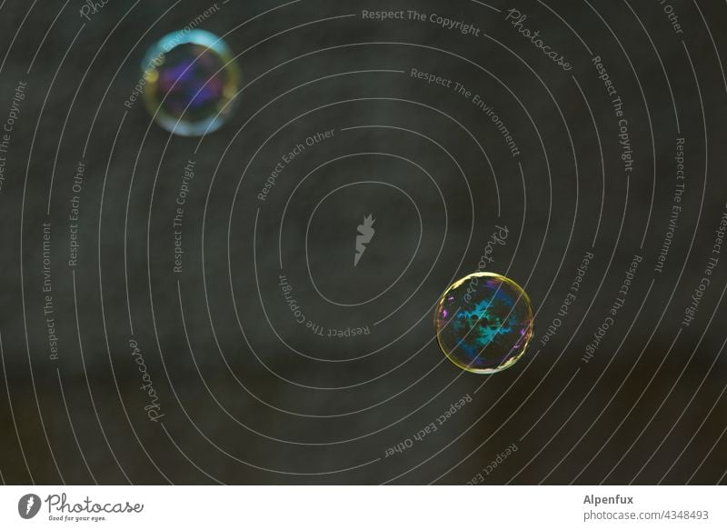 Seifenoper | Parktour HH21 Seifenblase Außenaufnahme Wasser Reflexion & Spiegelung Farbfoto Detailaufnahme Blase Menschenleer mehrfarbig rund Schweben fliegen