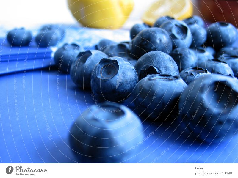 Heidelbeer-Gruppe Zitrone Stillleben Serviette Gastronomie Gesundheit Blaubeeren (deutsch?) Frucht Tischwäsche