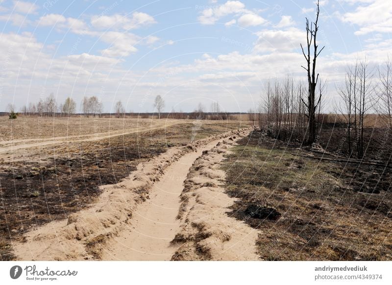 Verbranntes Gras. Frühlingsbrände. Asche des verbrannten Grases. Ein Feld mit verbranntem Gras mit Müll und verbrannten Bäumen. trocknen brennend Natur Umwelt