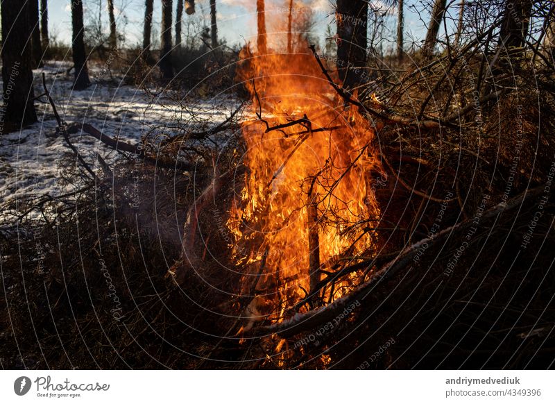 Brennendes Feuer. Das Lagerfeuer brennt im Wald. Textur des brennenden Feuers. Das Lagerfeuer zum Kochen im Wald. Verbrennen von trockenen Zweigen. Touristenfeuer im Wald. Textur von brennenden Zweigen