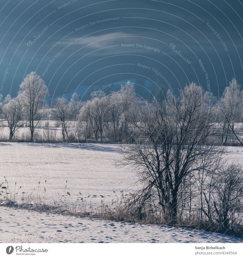 Winterwunderland Landschaft Schnee Bäume Eis weiß Kälte Frost Winterstimmung Wintertag Winterwald Außenaufnahme Schneelandschaft Idylle Jahreszeiten