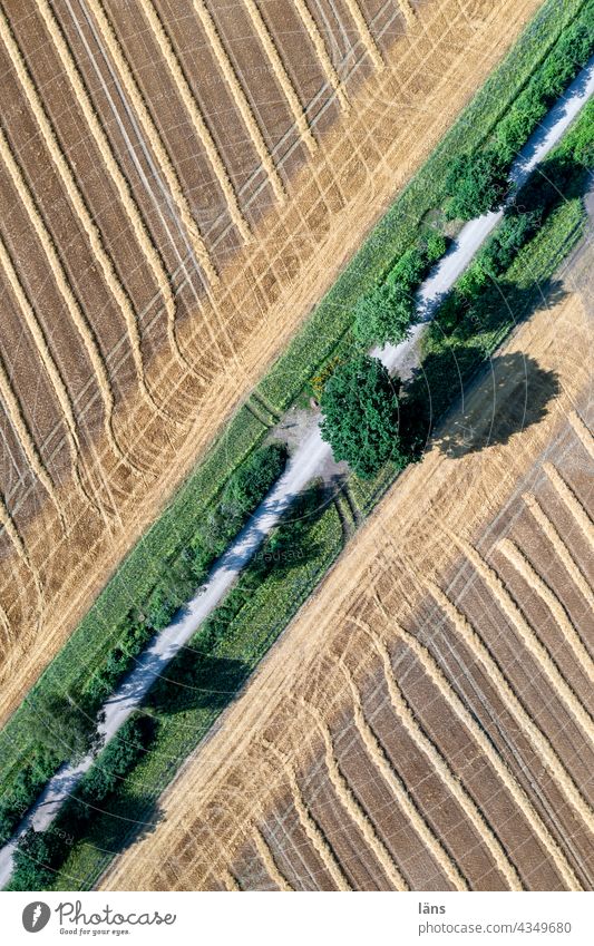 zwischenräume l Landwirtschaft Ackerbau Ackerland Weiher Teich Getreide Natur Feld Sommer Getreidefeld Menschenleer Wachstum Kornfeld Nutzpflanze