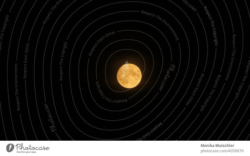 Vollmond Mond Nacht Himmel dunkel Nachthimmel Außenaufnahme Natur Mondschein Stimmung Lichterscheinung leuchten Landschaft Horizont Kontrast Menschenleer ruhig