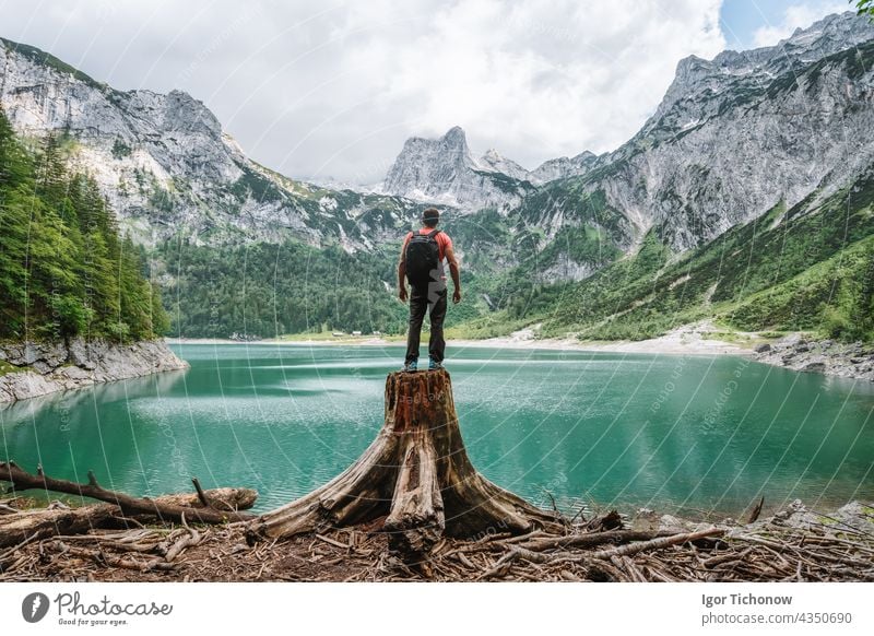 Reisender, der auf einem Baumstumpf steht und den Blick auf das Dachsteingebirge am Oberen Gosausee genießt. Gosau, Salzkammergut, Österreich, Europa Mann