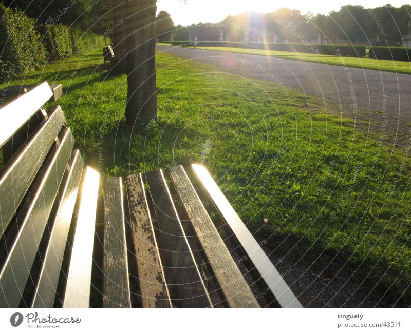 Parkbank Gegenlicht Schloss Nymphenburg Licht Stimmung Sonnenstrahlen glänzend grün Gras Holz Bank Beleuchtung Rasen Sitzgelegenheit