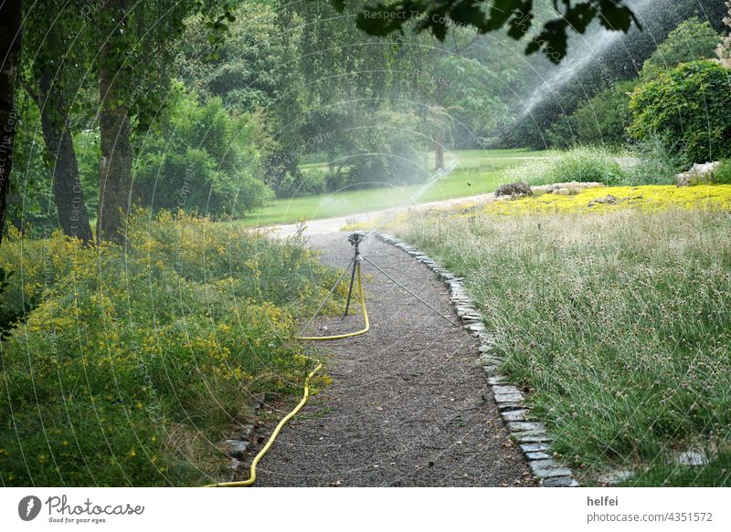 Bewässerung von einem künstlich angelegten Park mit üppiger Vegetation im Sommer Wasser Garten Gartenarbeit gießen Wasserschlauch Rasen nass Natur Gärtner Wiese