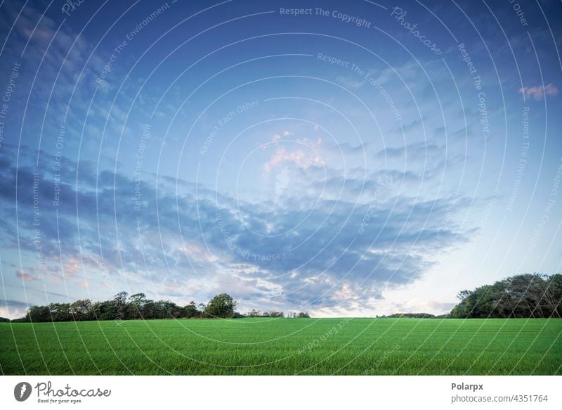 Ländliche Landschaft in der Morgendämmerung mit grünen Feldfrüchten frisch Schönheit Ackerland Cloud schön Rasen Sommer lebhaft erstaunlich sich[Akk] entspannen