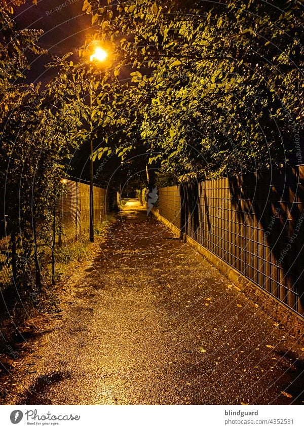 Dunkel war's der Mond schien helle als ein ... Weg Zaun Baum Dunkelheit Beleuchtung Abend spät Sommer Licht Nacht dunkel Außenaufnahme Lampe Stadt Menschenleer