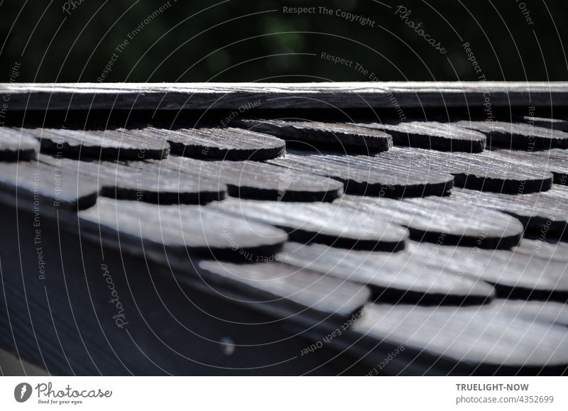 Traditionelles Schindeldach (Teilansicht einer Hütte an einem oberbayerischen See) aus Holzschindeln im Biberschwanz Design zeigt seine charakteristische Struktur besonders eindrucksvoll im Licht der Morgensonne