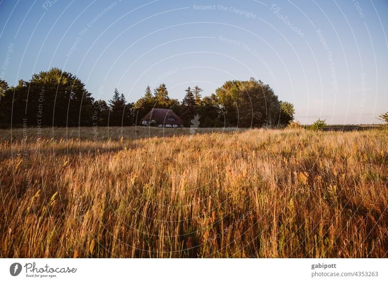 Sommerliche Landschaft mit verstecktem Haus im Hintergrund Feld Himmel Außenaufnahme Fachwerkhaus Natur Schönes Wetter Menschenleer Urlaub