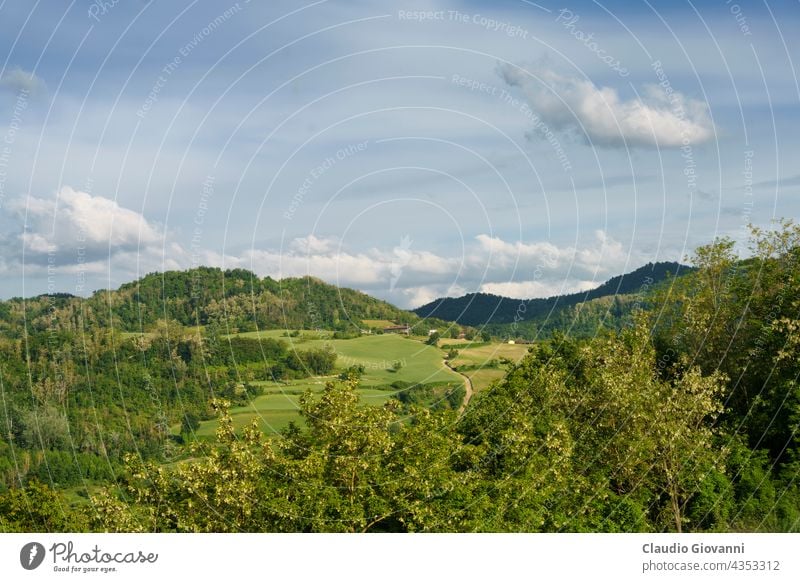 Weinberge in Oltrepo Pavese, Italien, zur Frühlingszeit Borgo Priolo Europa Lombardei Montalto Pavese pavia Ackerbau Farbe Tag Bauernhof Feld grün Hügel