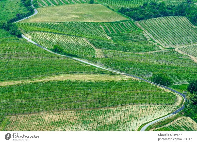 Weinberge in Oltrepo Pavese, Italien, zur Frühlingszeit Europa Lombardei Montalto Pavese pavia Tessin Ackerbau Farbe Tag Bauernhof Feld grün Hügel Haus