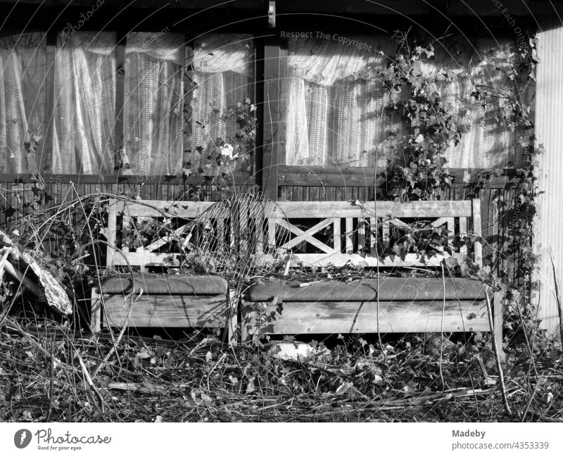 Alte überwucherte Holzbank vor einer alten verfallenen Holzhütte mit Gardinen in Lage bei Detmold in Ostwestfalen-Lippe, fotografiert in klassischem Schwarzweiß