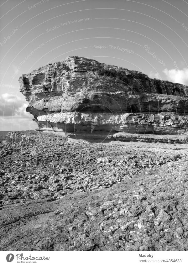 Die Rosa Felsen im Sommer bei Sonnenschein an des Küste des Schwarzen Meer in Kefken in Kocaeli in der Türkei, fotografiert in klassischem Schwarzweiß Kandira