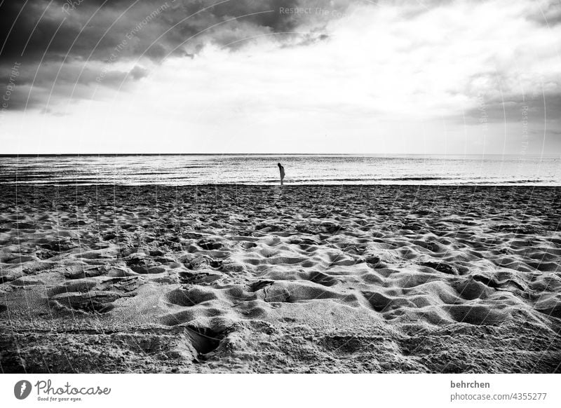 weit weg und doch so nah Schwarzweißfoto dramatisch Usedom Freiheit Natur Wellen Himmel Ostseeküste Wolken weite Küste Fernweh Landschaft Sehnsucht Strand