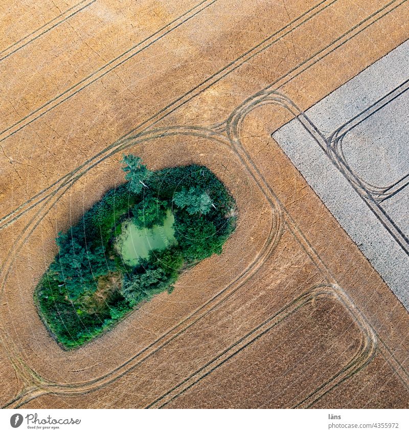 Weiher im Ackerland Ackerbau Teich Getreide Landwirtschaft Natur Feld Sommer Getreidefeld Menschenleer Wachstum Kornfeld Nutzpflanze Vogelperspektive