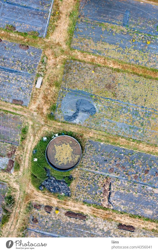 Plastikfolie in der Landwirtschaft ll Strukturen & Formen Natur nahrungsmittelproduktion Drohnenansicht Menschenleer Vogelperspektive Drohnenaufnahme