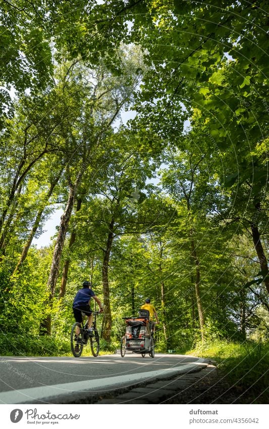 Fahrradfahren im Park Mobilität Mobilitätswende Radweg wald Fahrradweg fahrradweg straße fahrbahnmarkierung asphalt richtung linie navigation grün draußen Natur