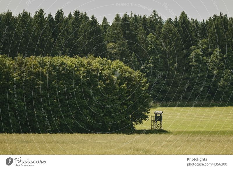 Hochsitz am Rande eines Laubwaldes und eines Feldes. Mischwald Waldlichtung Ackerland Jägersitz hochstand Agrarwirtschaft Wiese Landschaft Gras Bauer grün