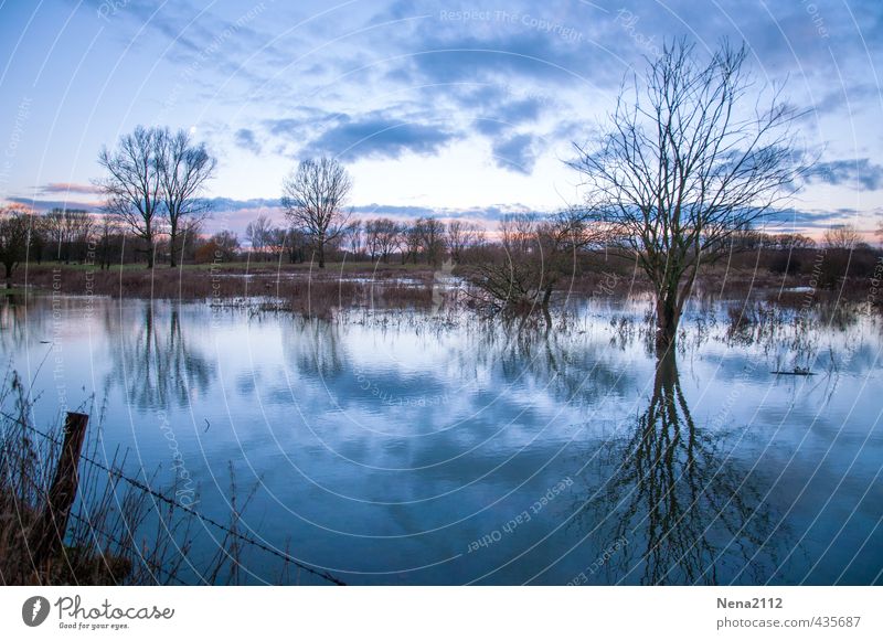 Tristesse Umwelt Natur Landschaft Luft Wasser Winter Wetter Baum Wiese Feld ästhetisch bedrohlich dunkel fantastisch gruselig kalt nass trist blau Stimmung