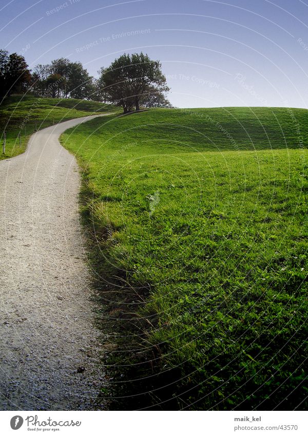 Feldweg Gras grün Fußweg Amerika Landstresse Wege & Pfade Weide Natur